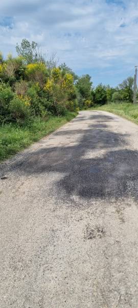 Réparation nid de poule 