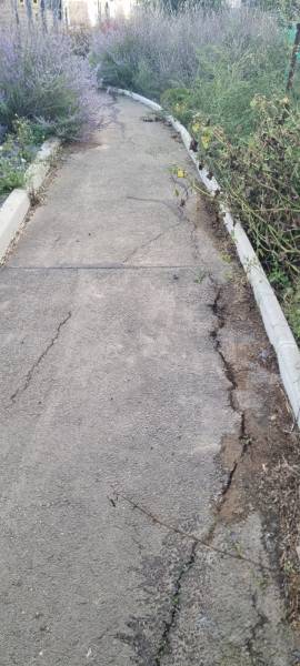 Réparation de fissure de route à Florensac (34) avec notre fondoir