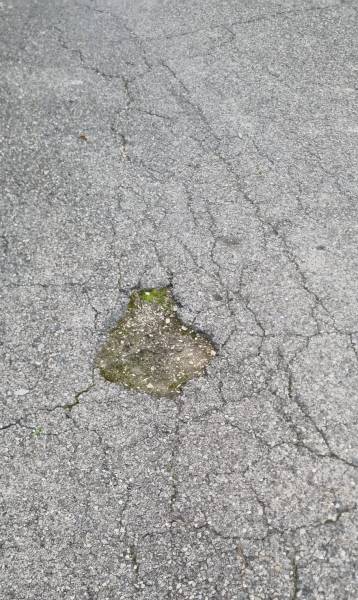 Quelles sont les causes du faiençage d'un route en enrobé ?