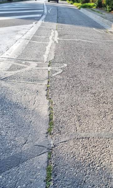 Fissures d'enrobé avec herbes et mousse 