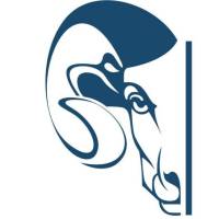  bélier design création graphique flocage 13